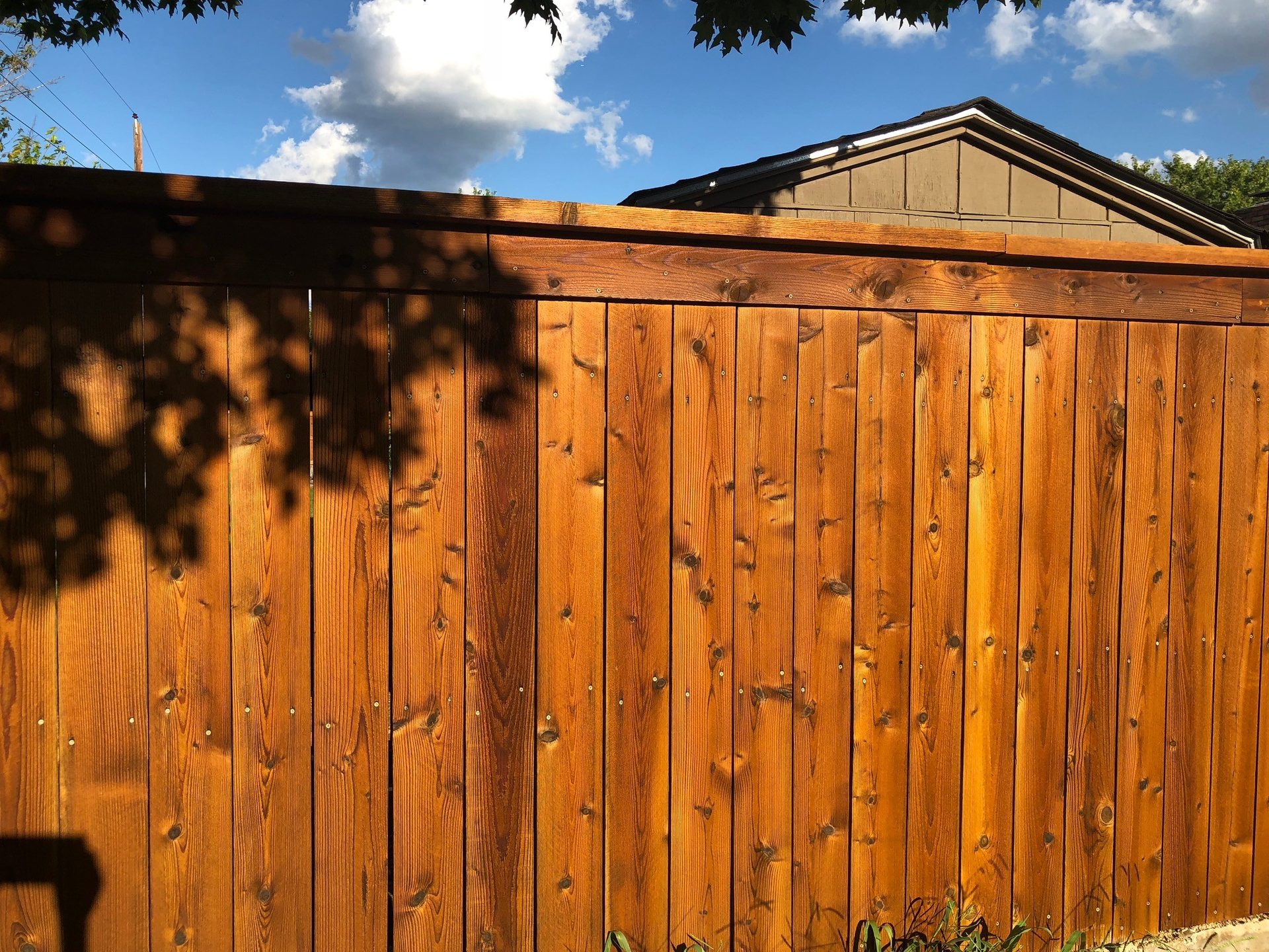 Fence Staining & Sealing